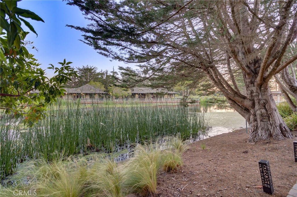 2303 Sanderling Court