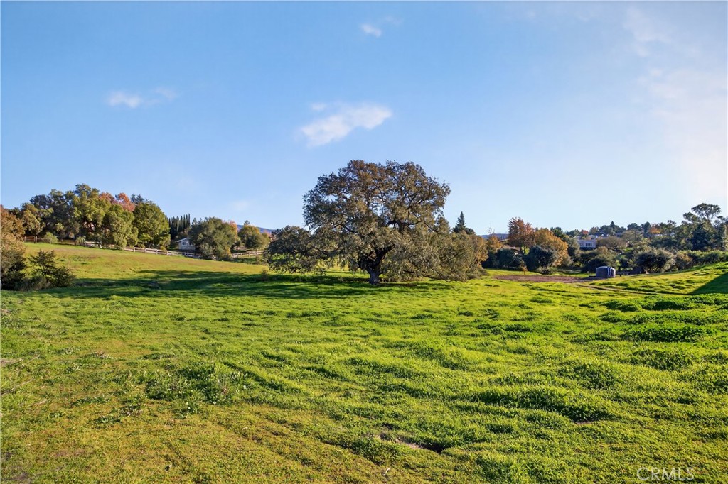 970 College Canyon