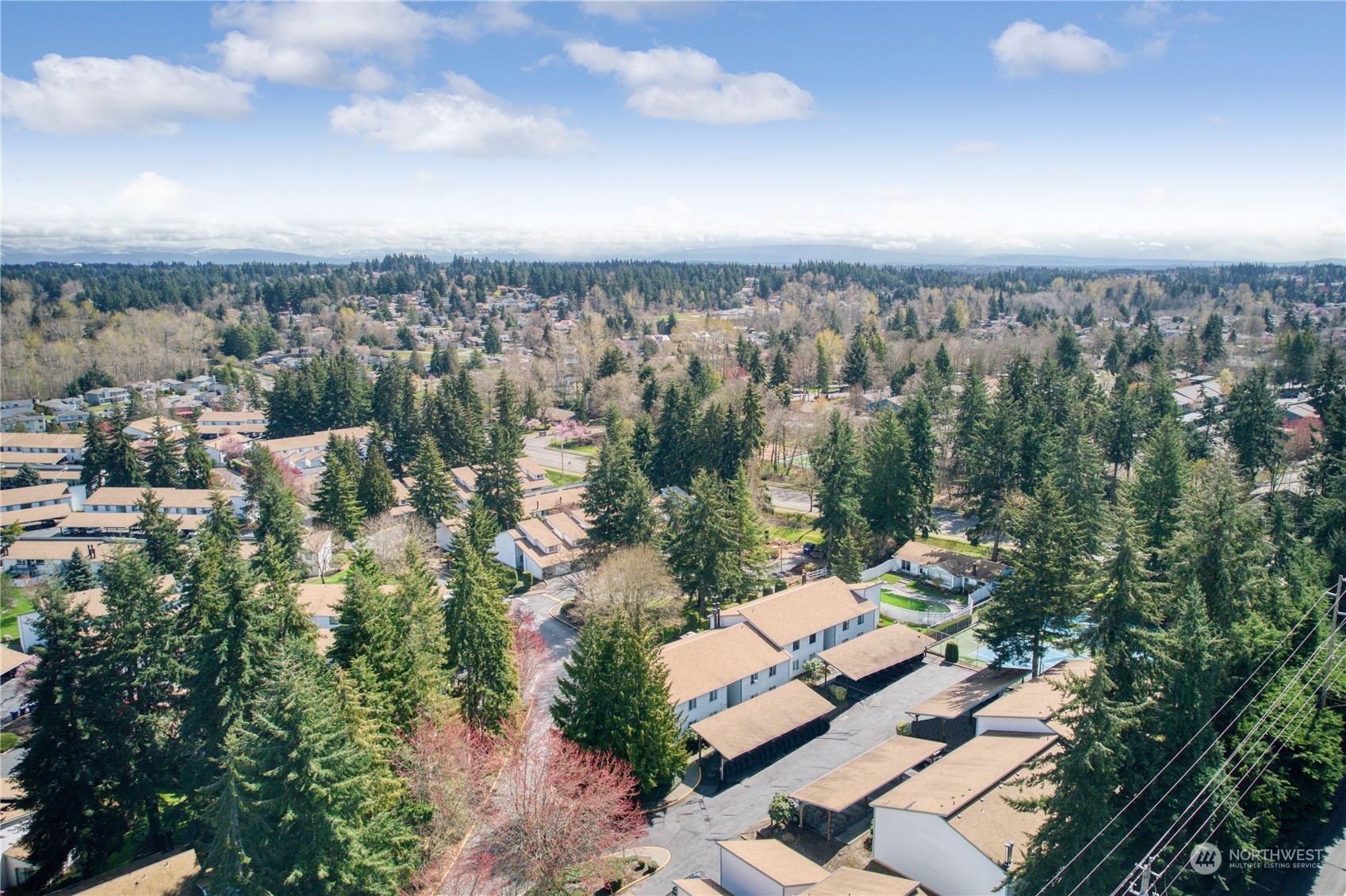 2003 SW 318th Place #D-8