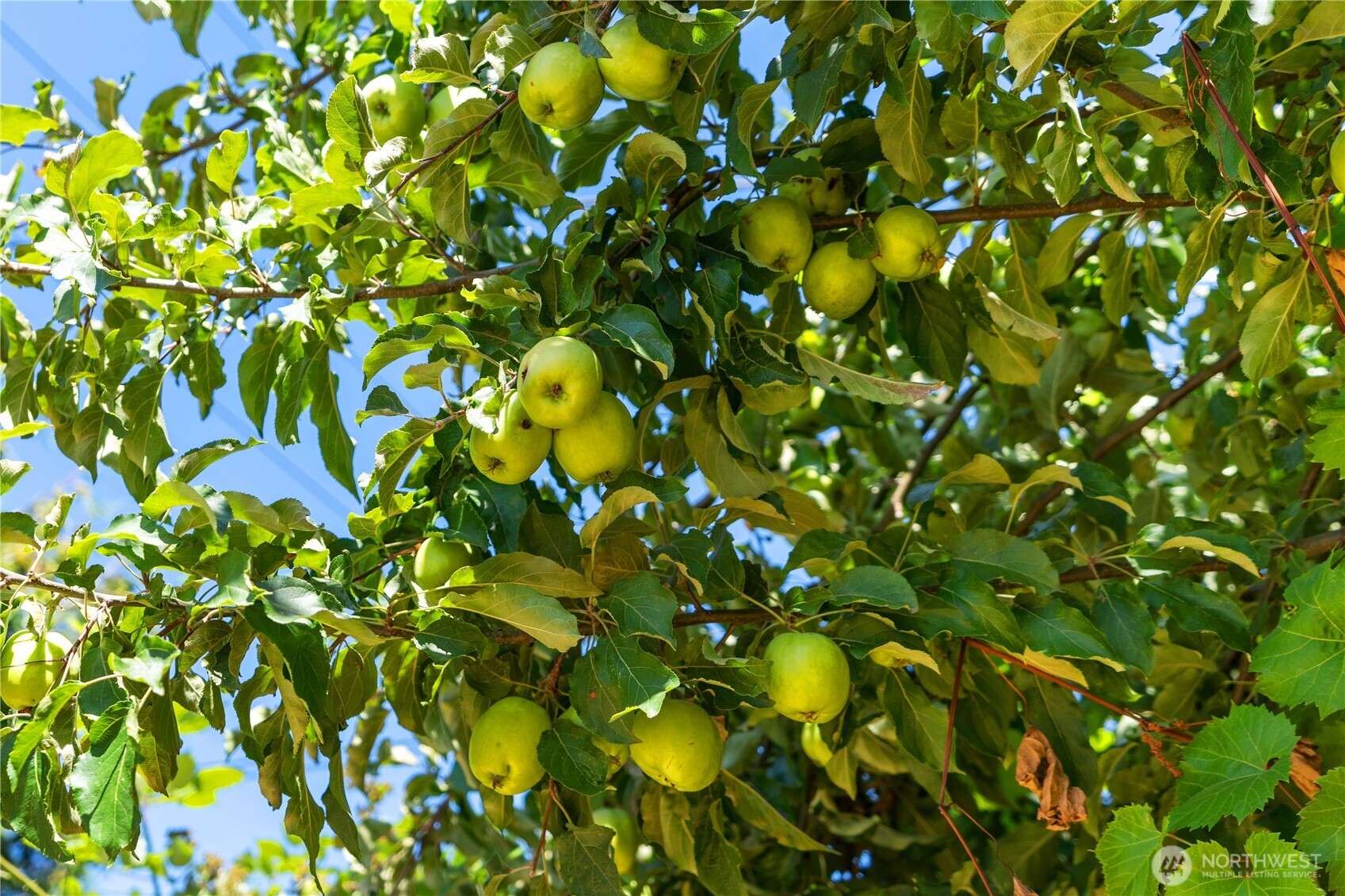 2235 E Wright Avenue