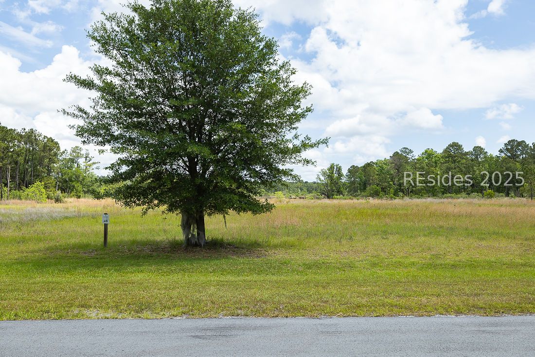 1846 Telfair Plantation Drive