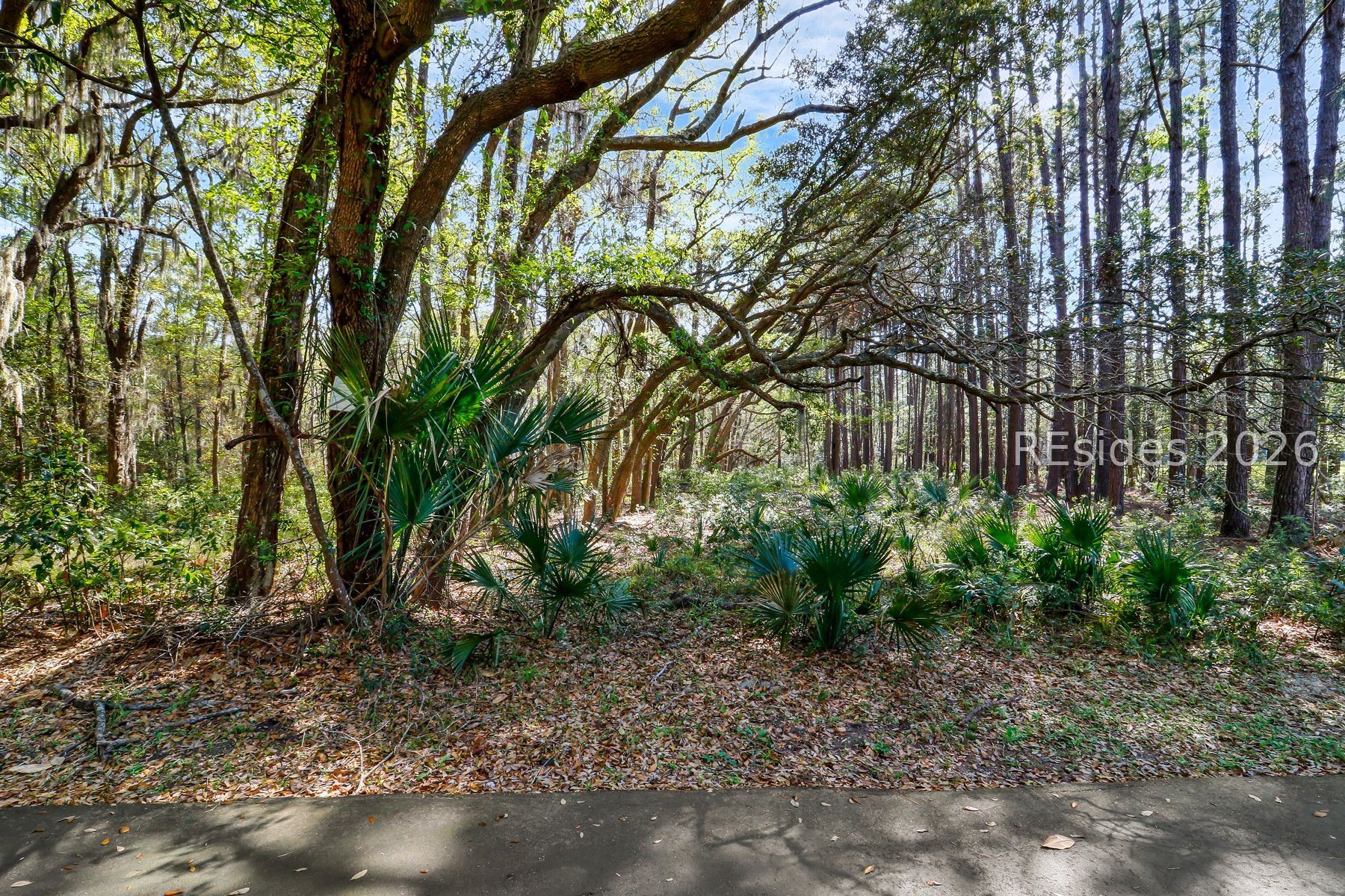 1 Canters Court
