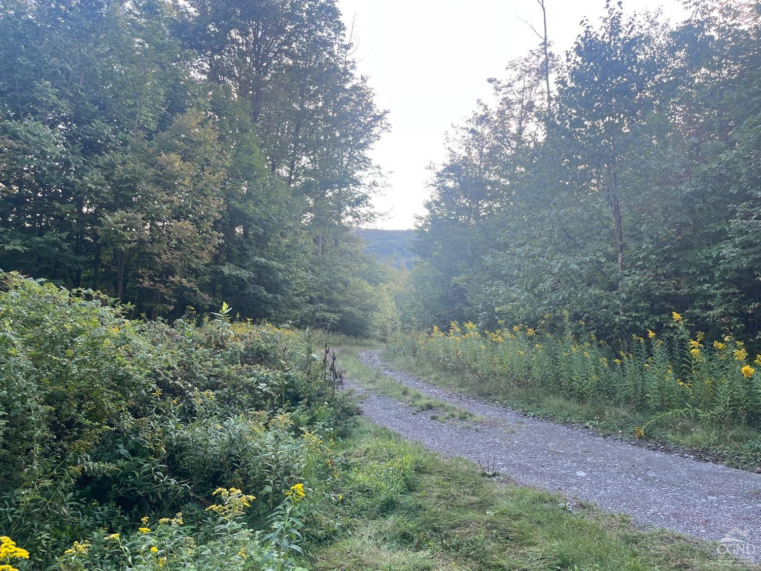 0 Off Mount Pisgah Rd