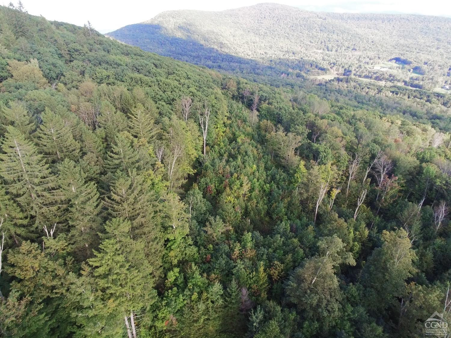 0 Off Mount Pisgah Rd