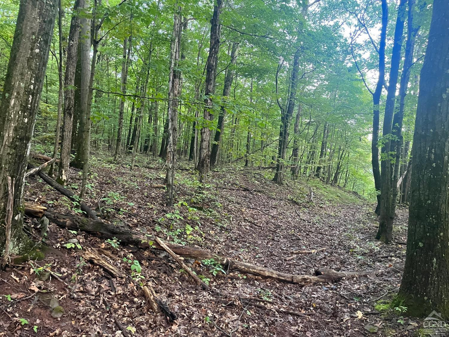 0 Off Mount Pisgah Rd