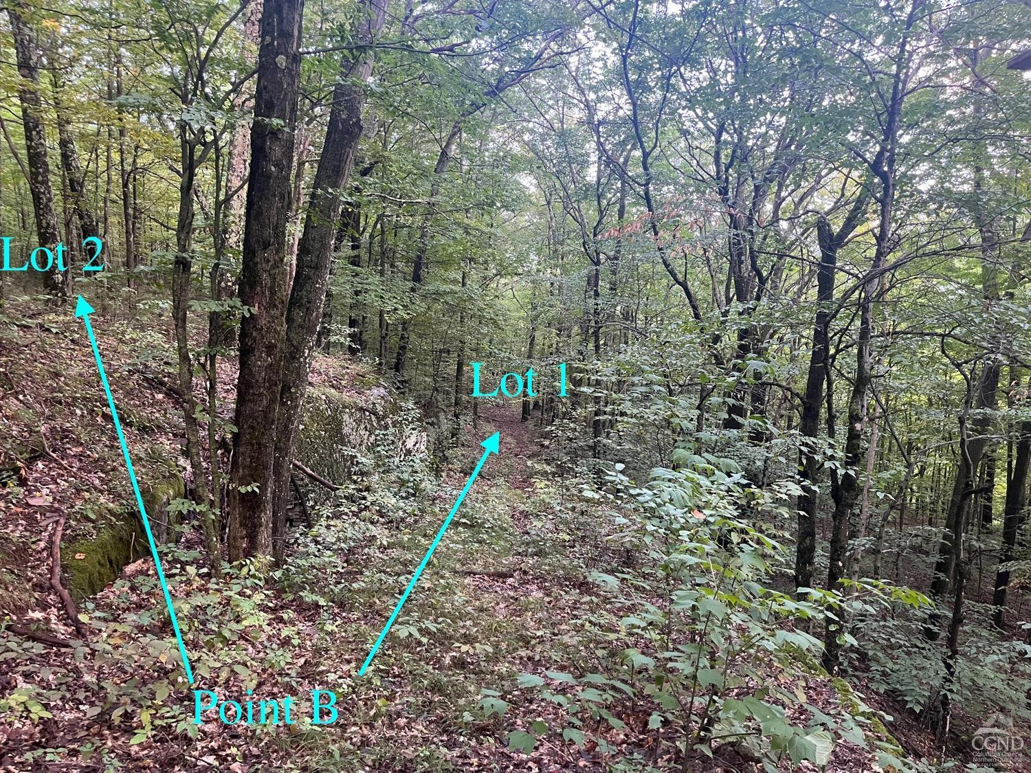 0 Off Mount Pisgah Rd