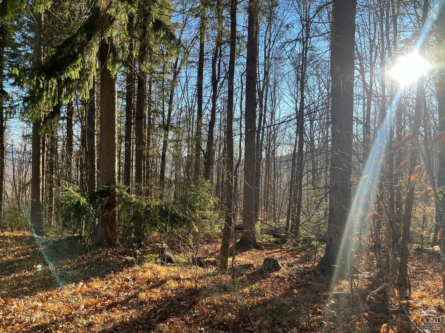 0 Off Mount Pisgah Road
