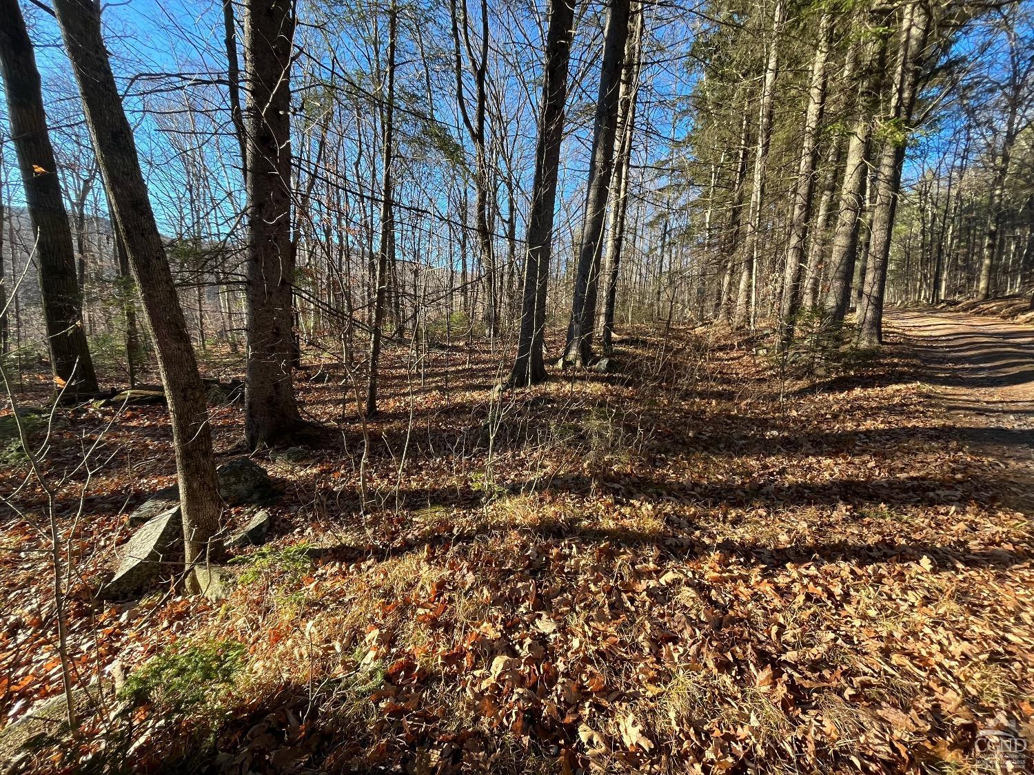 0 Off Mount Pisgah Road