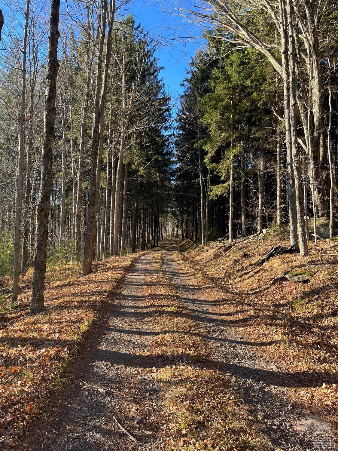 0 Off Mount Pisgah Road