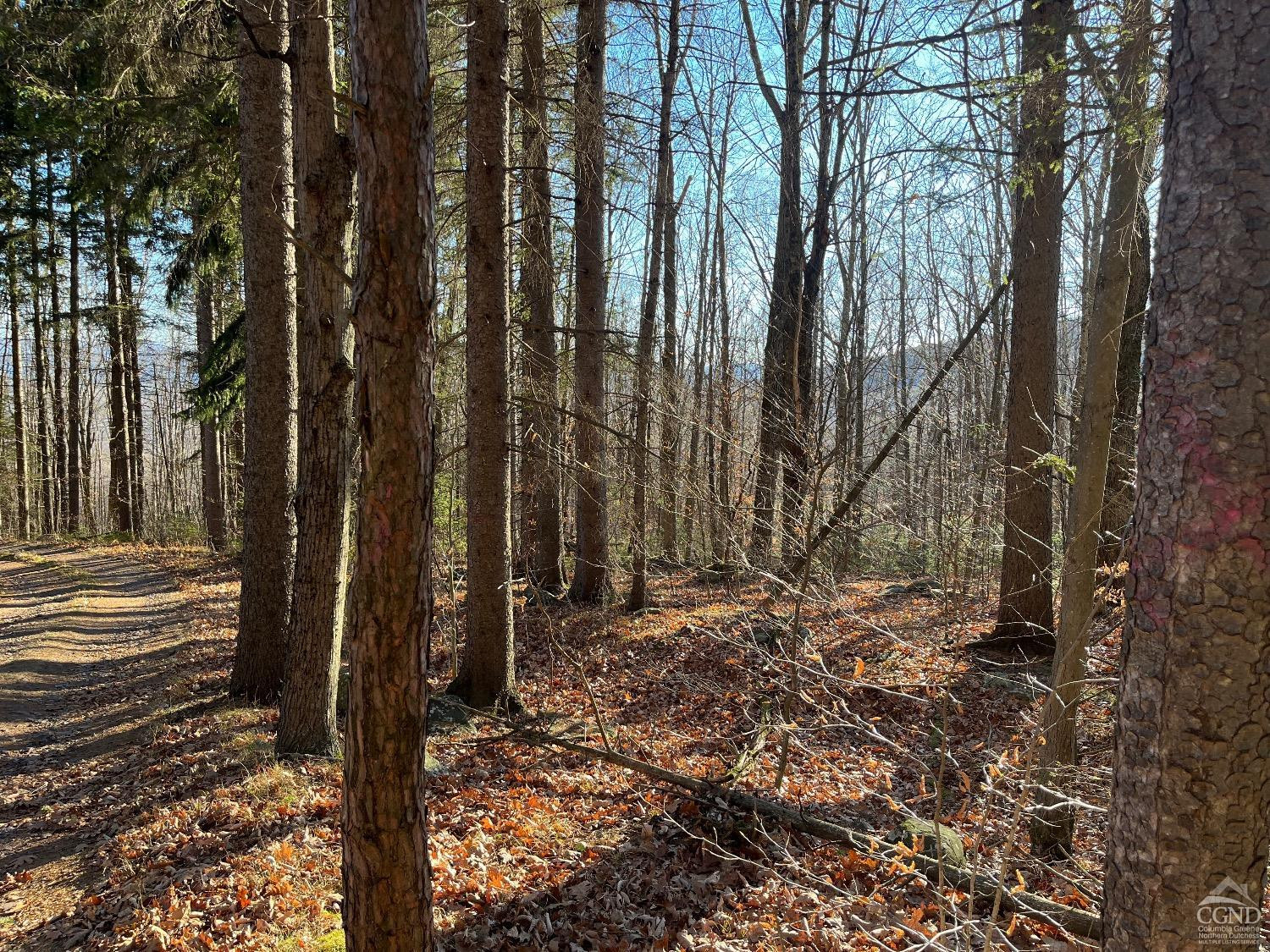 0 Off Mount Pisgah Road