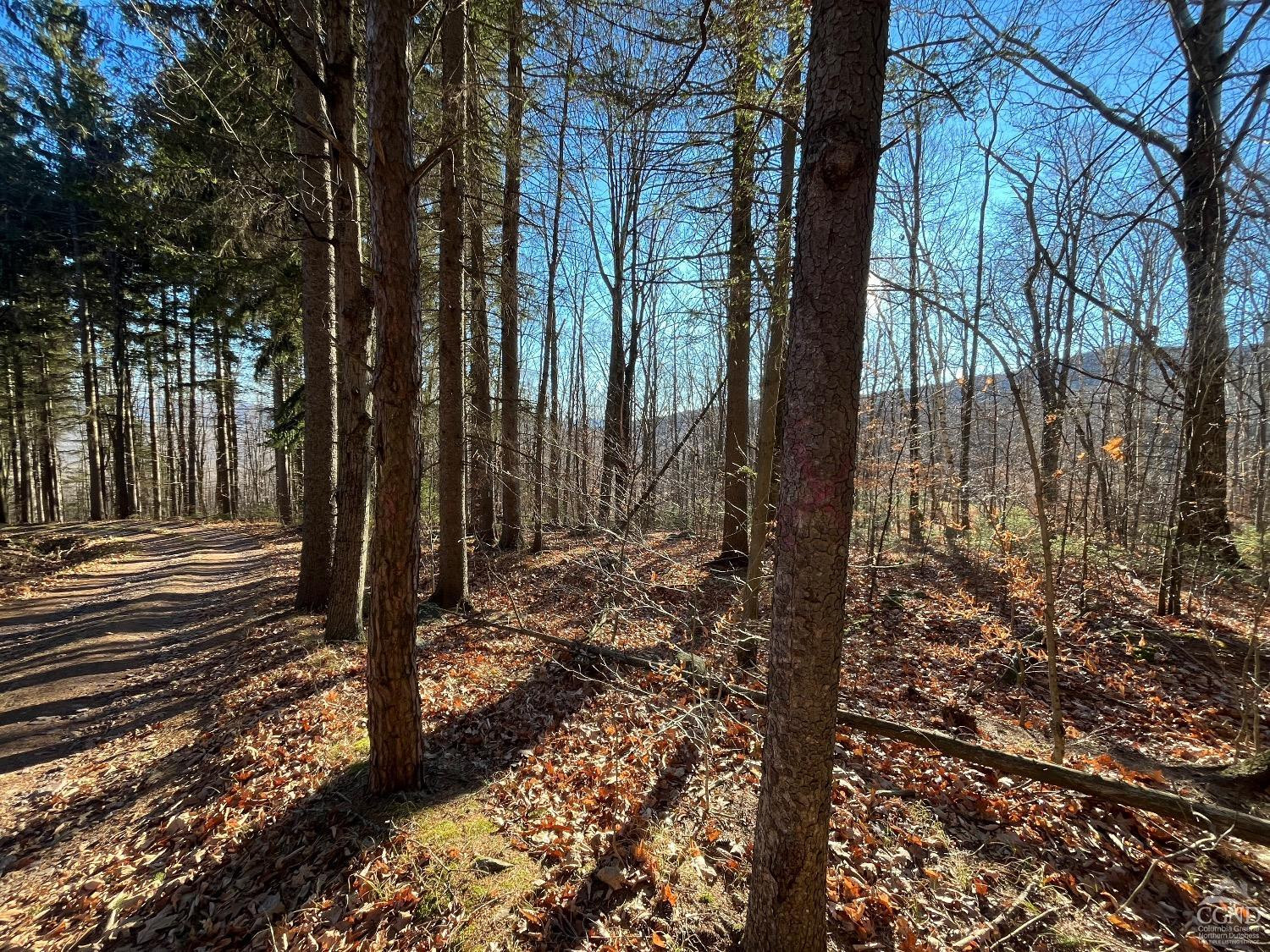 0 Off Mount Pisgah Road