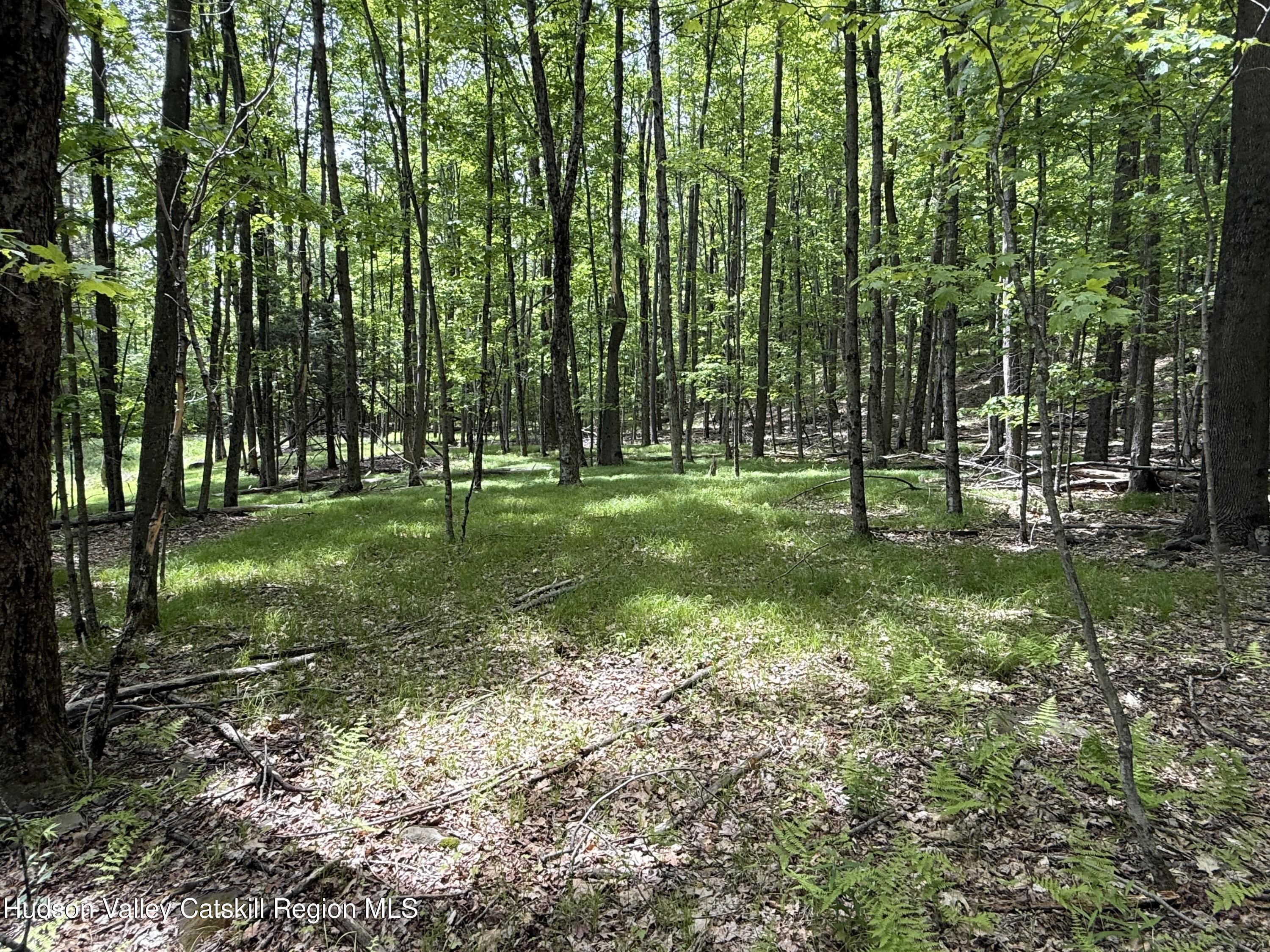 261 Bailey Road