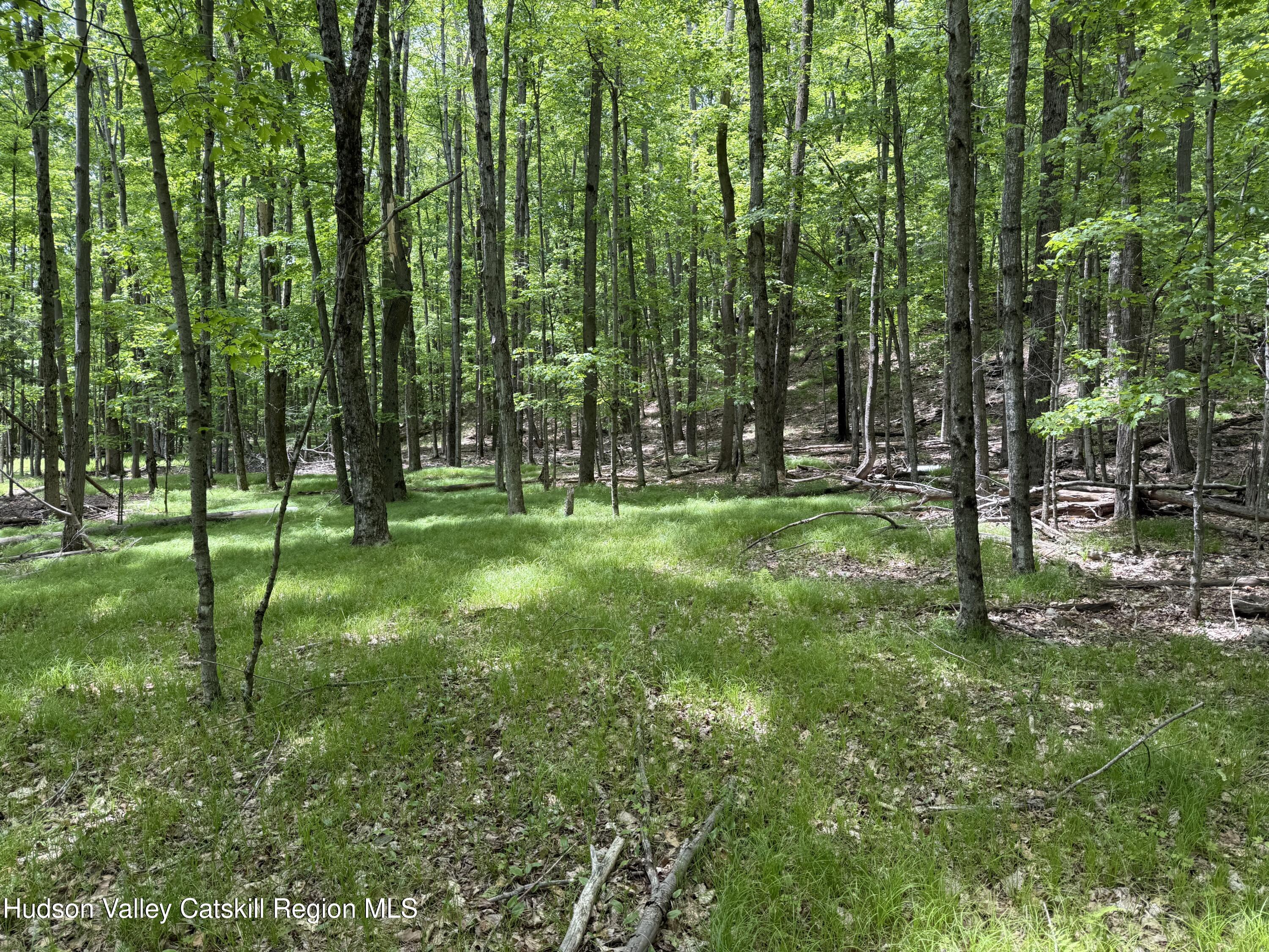 261 Bailey Road
