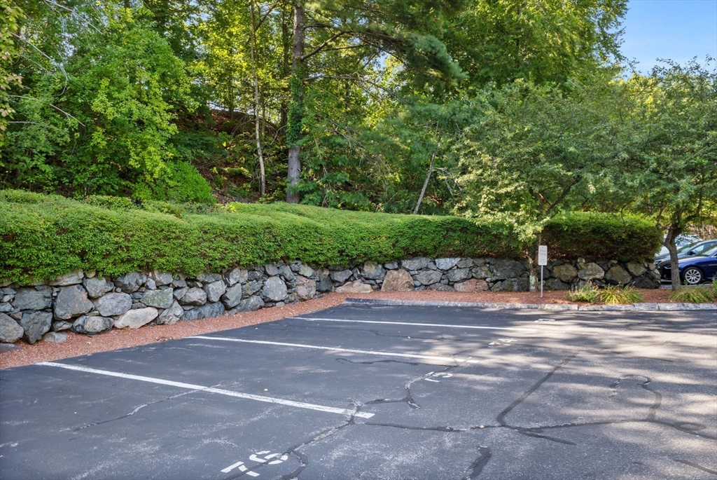 269 Cambridge Rd # 203