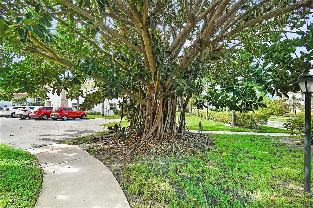 2600 SE Ocean Blvd FF5