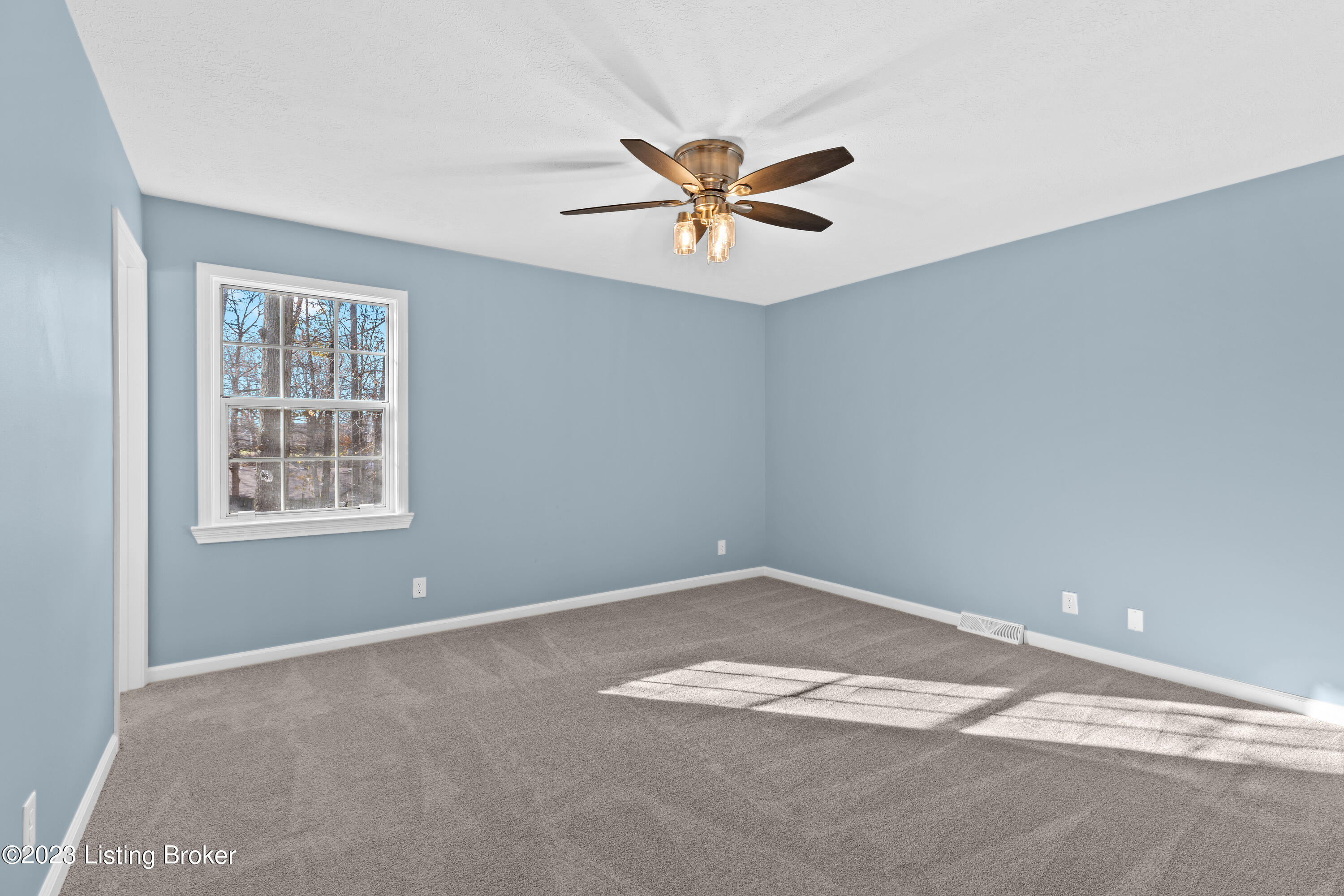 118 Joy Ct
