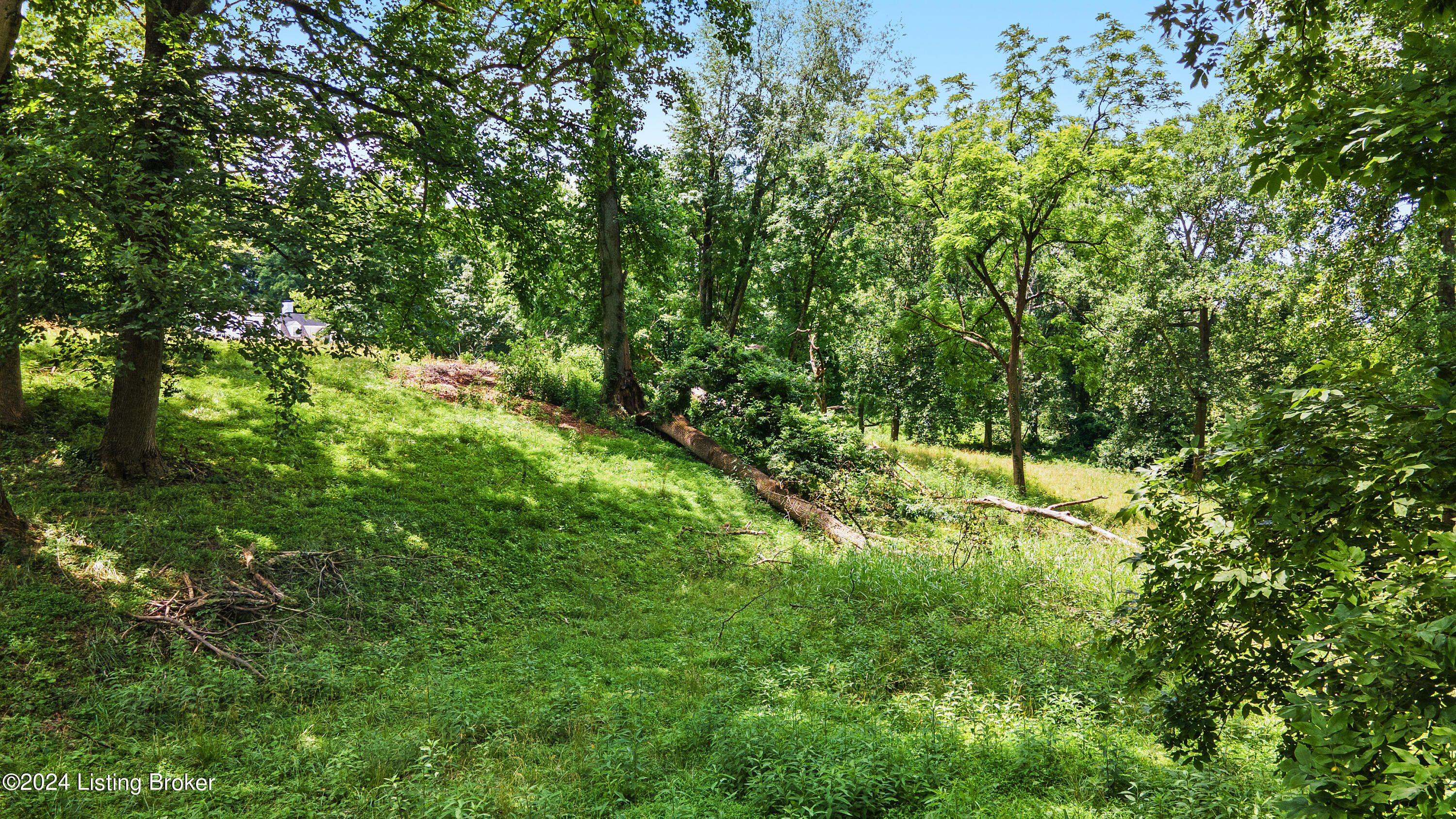 9620 Us Highway 42, TractA1