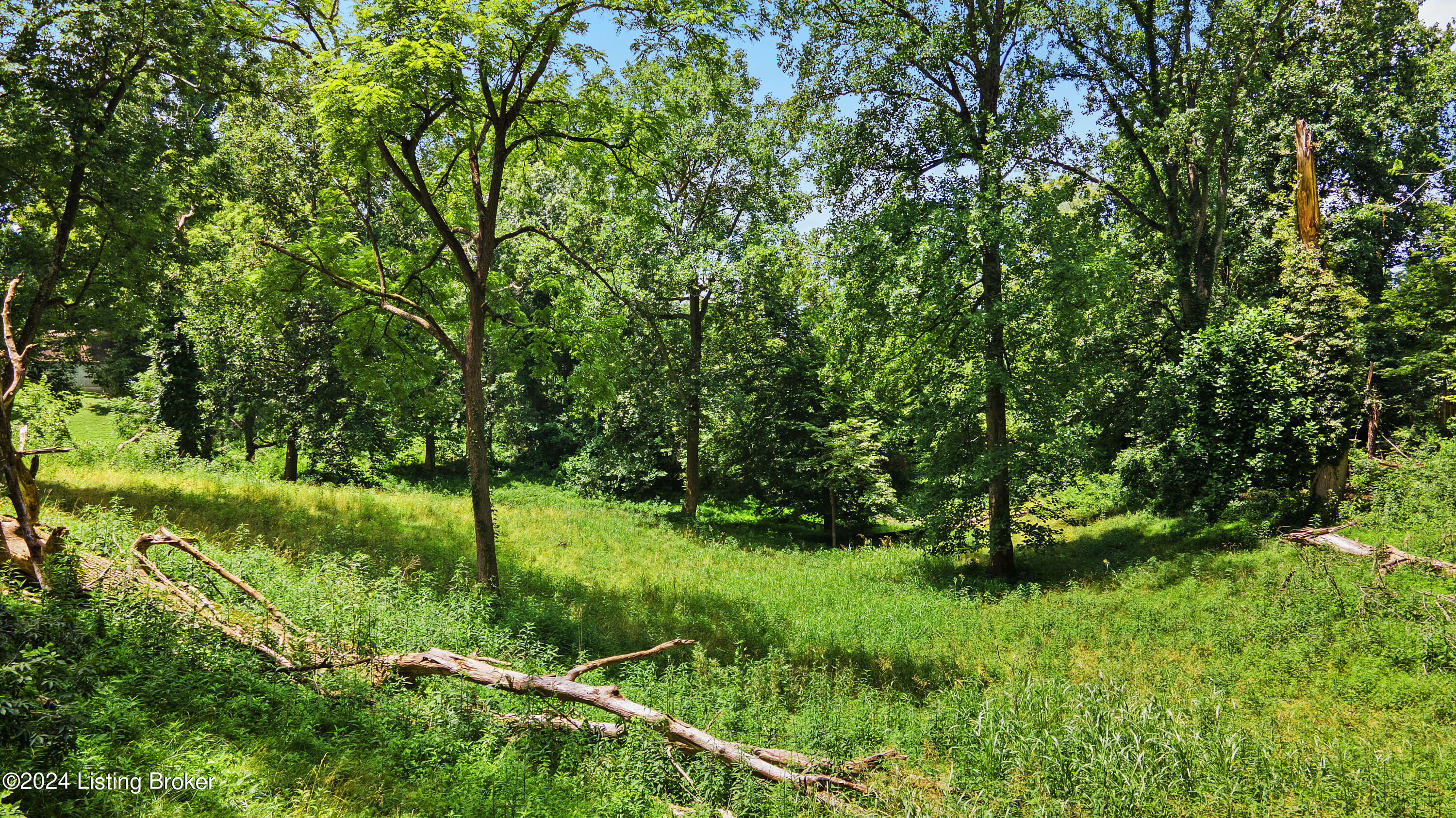 9620 Us Highway 42, TractA1