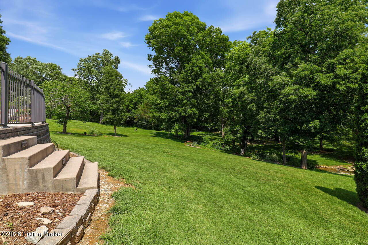 242 White Oak Dr