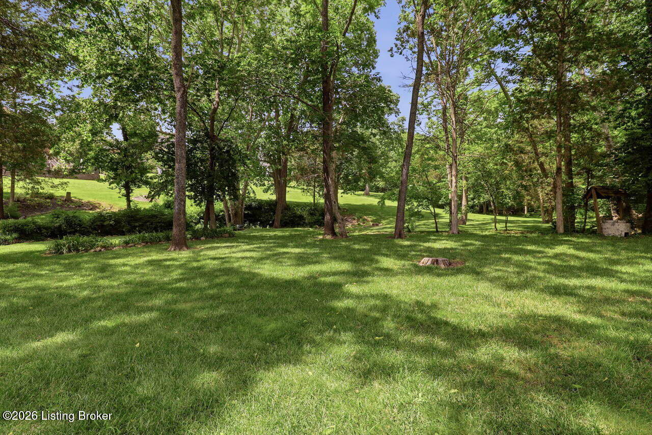 242 White Oak Dr