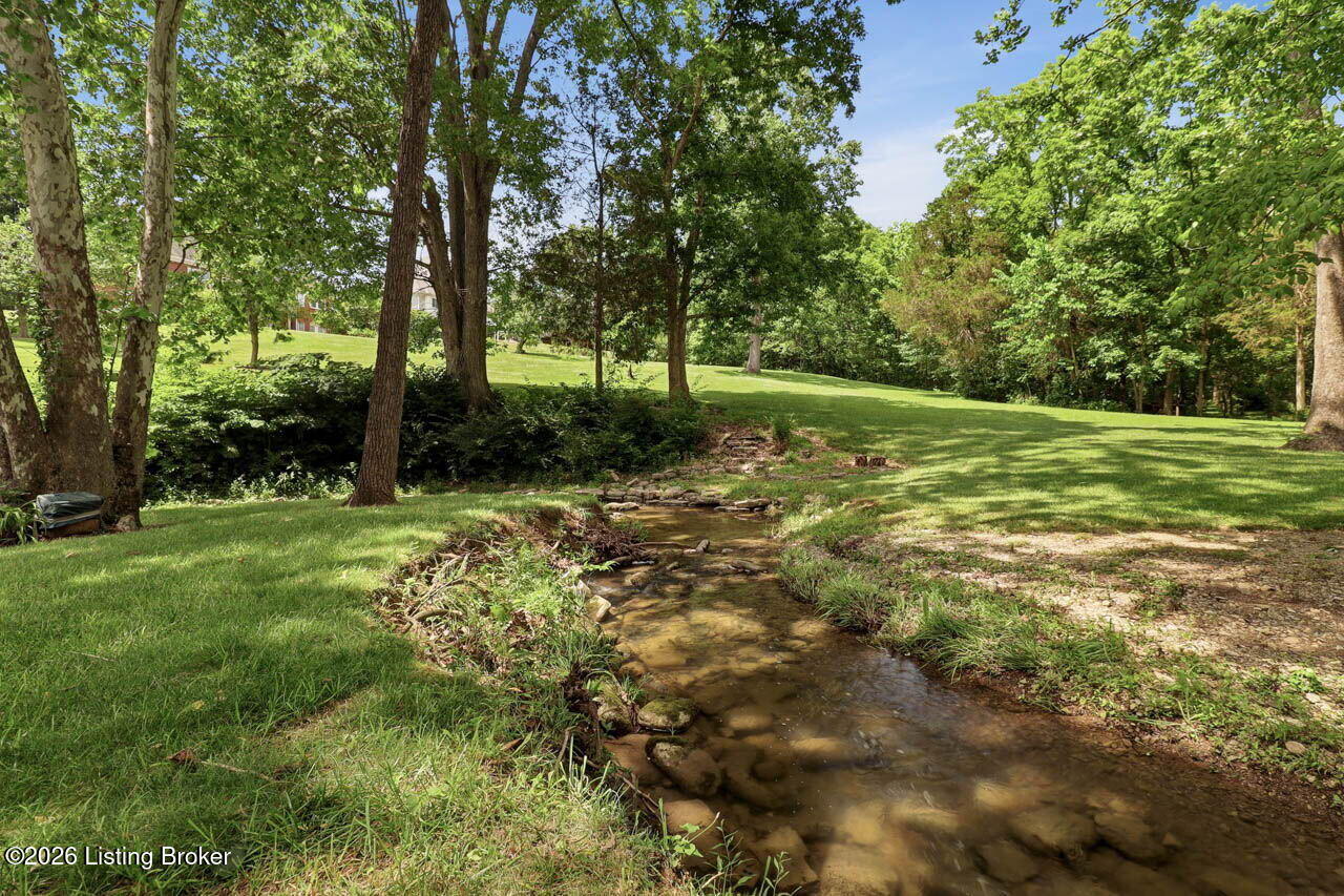 242 White Oak Dr