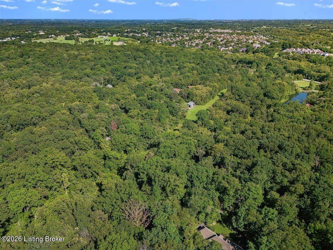 17206 Creek Ridge Rd