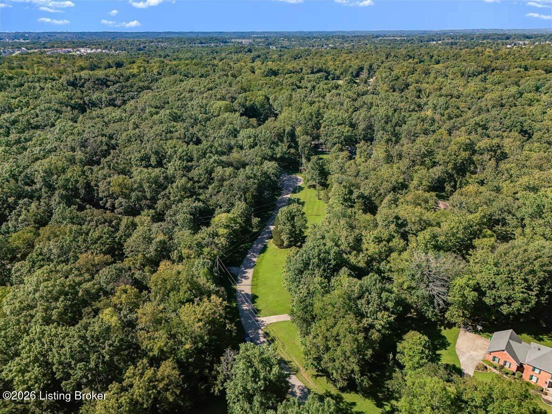 17206 Creek Ridge Rd