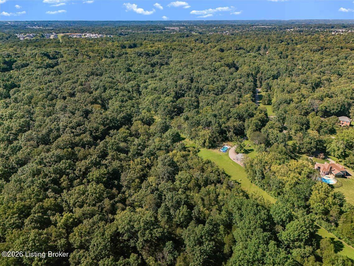 17206 Creek Ridge Rd