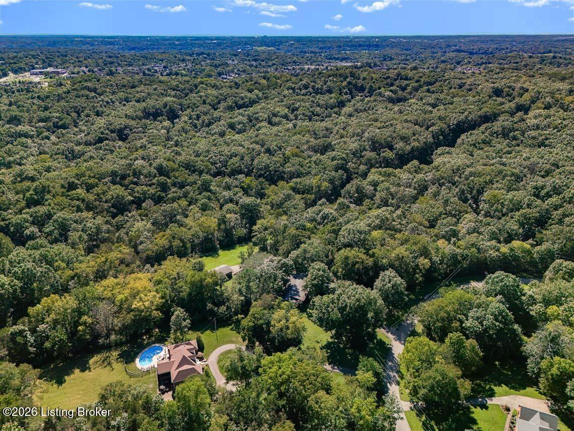 17206 Creek Ridge Rd