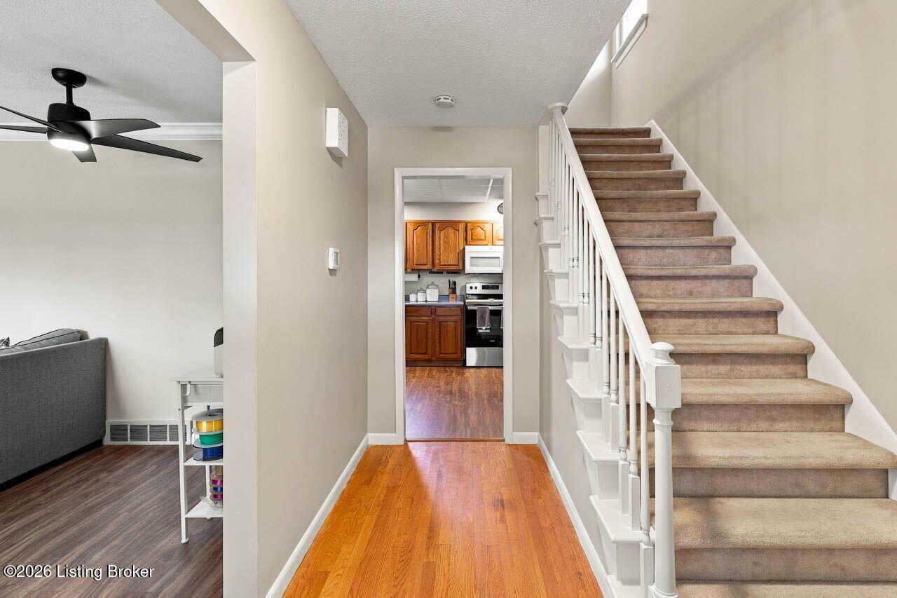 6017 Bay Pine Dr