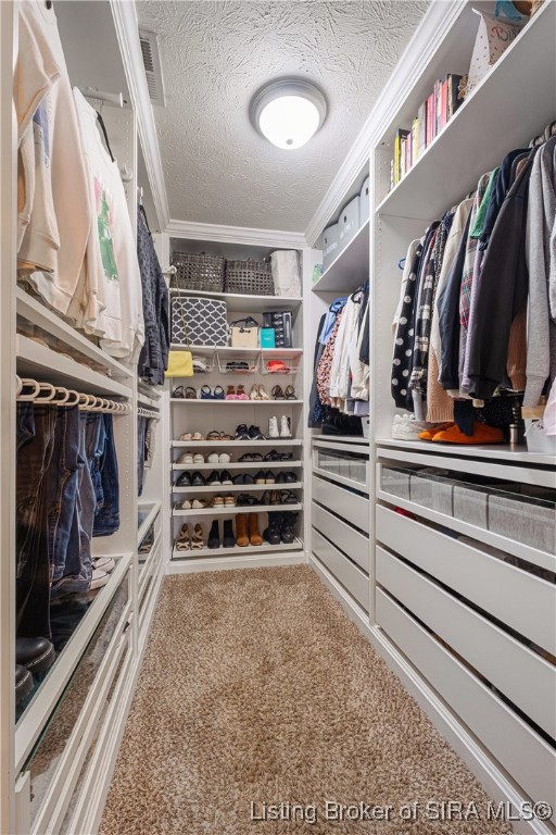 6408 Anna Louise Drive