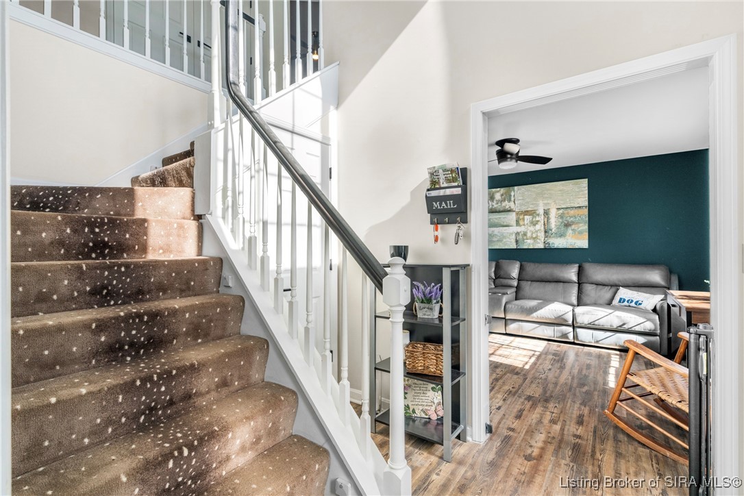 4203 Maplewood Drive