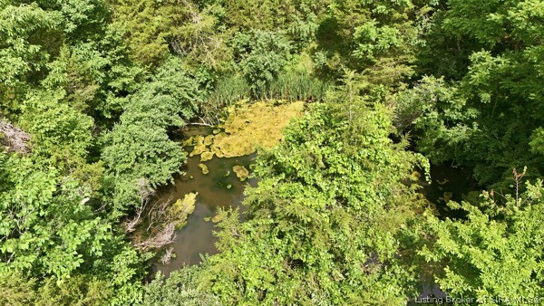 E Turkey Fork Road