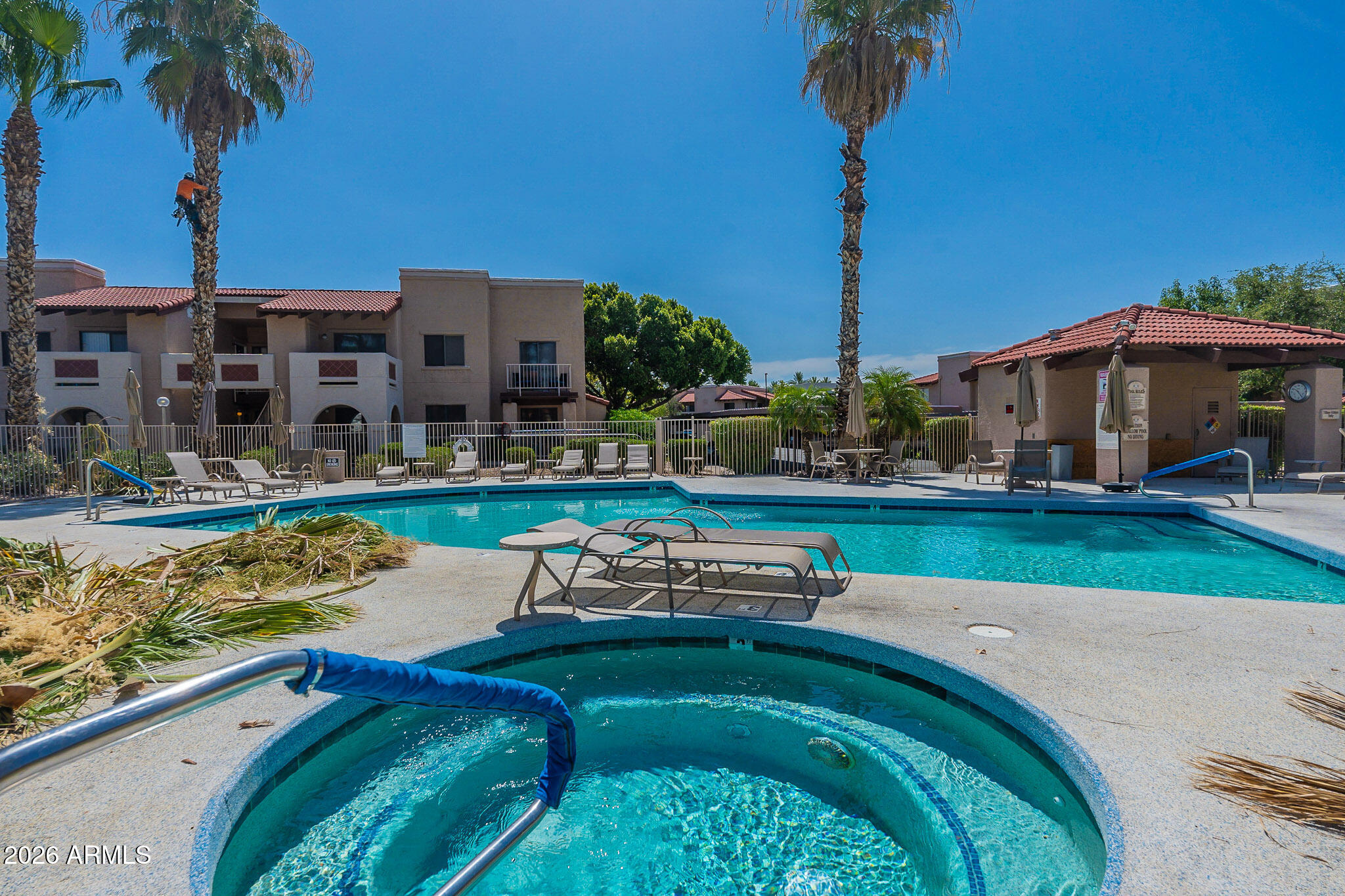 Community swimming pool and spa beside low-rise residences, with palm trees and poolside seating.