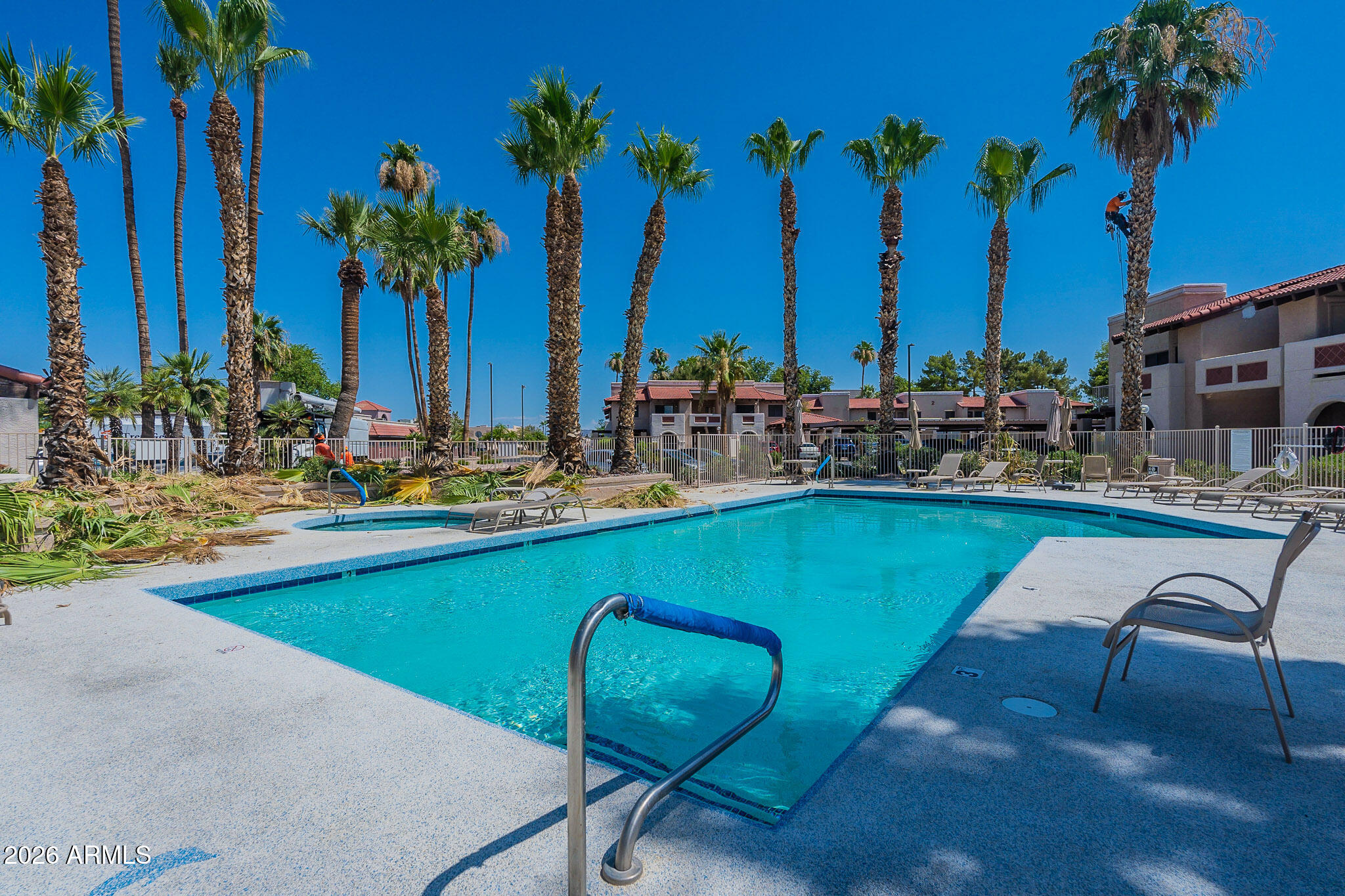 Community swimming pool framed by tall palm trees, lounge chairs, and residential buildings.