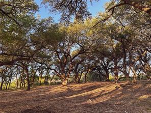 Lot 7 Rifle Ridge