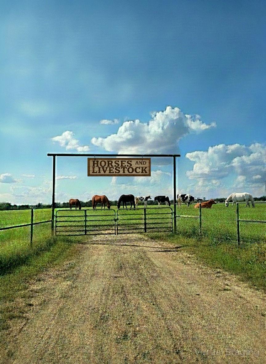 2838 County Road 201