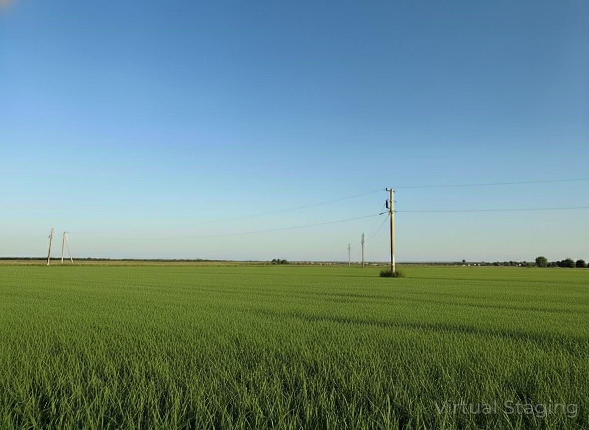 2838 County Road 201