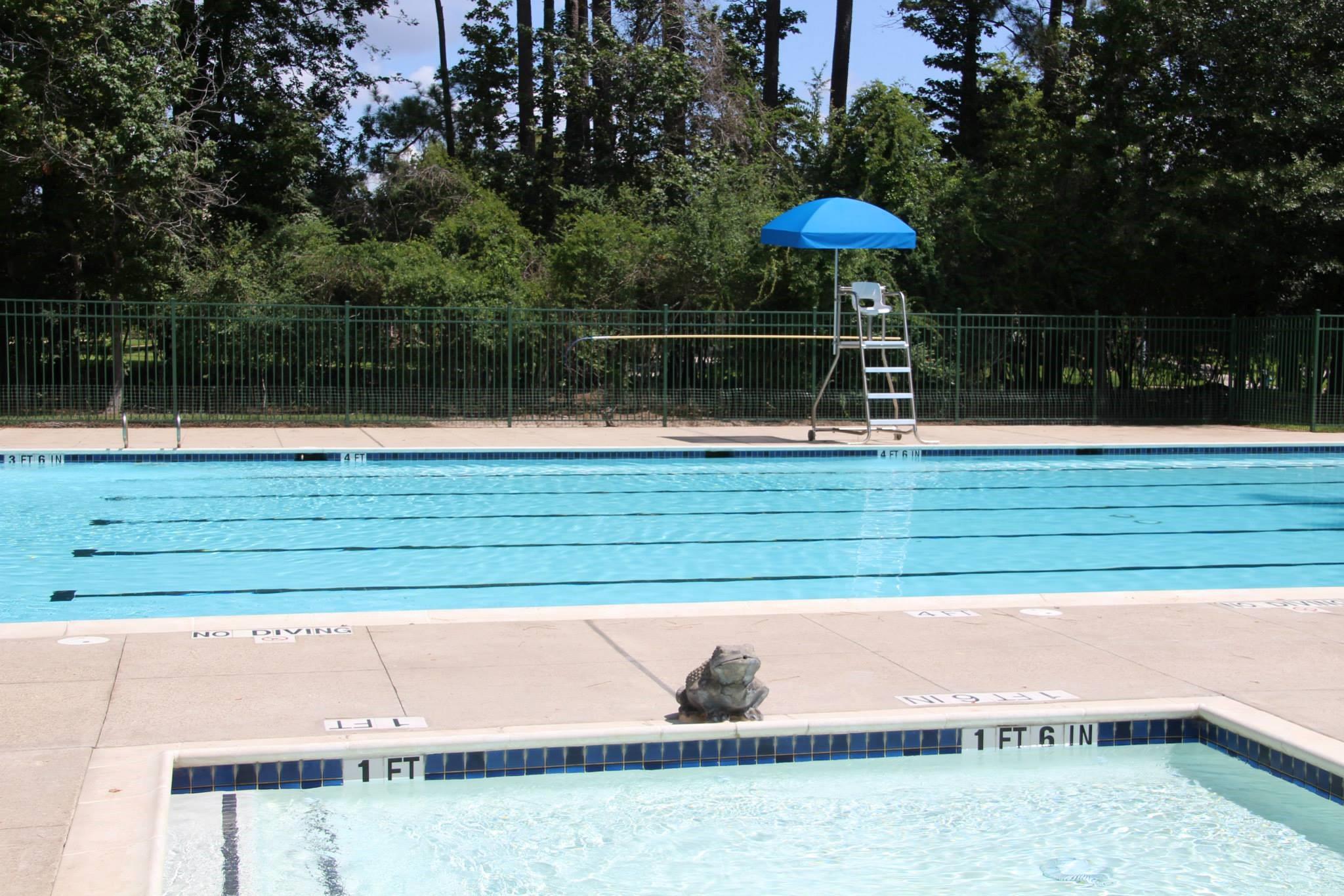 25827 Austin Springs Street