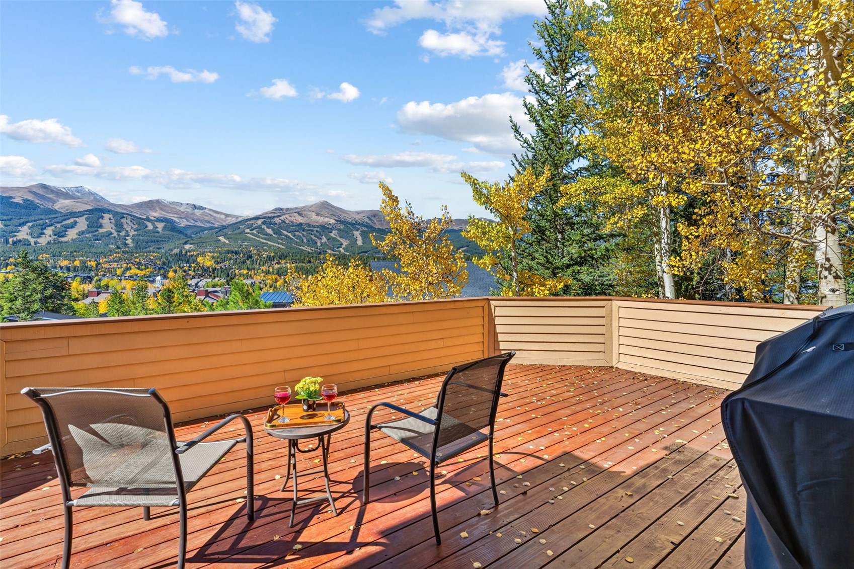 113 N Gold Flake TERRACE
