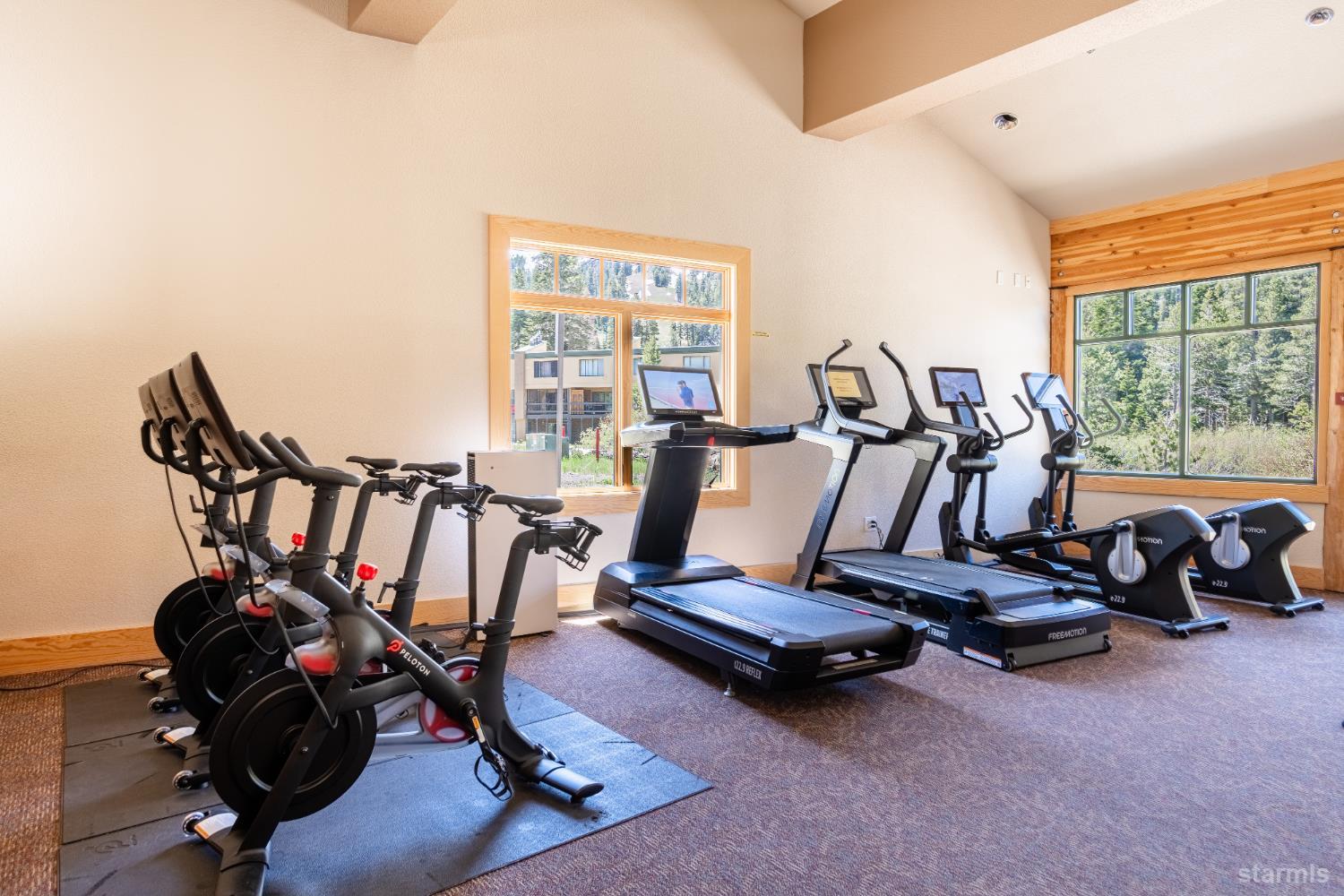 1120 Kirkwood Meadows Drive Unit: 217