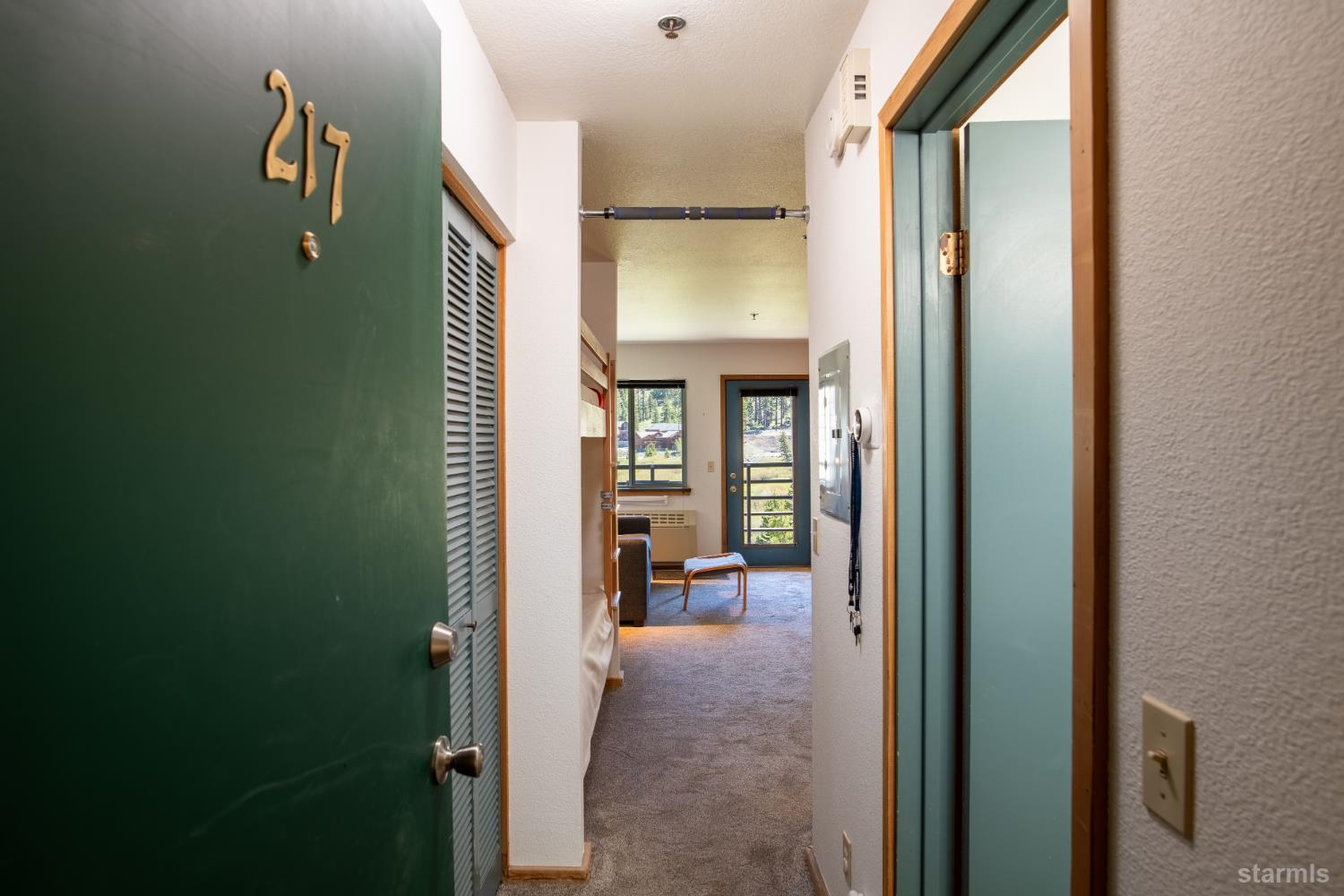 1120 Kirkwood Meadows Drive Unit: 217