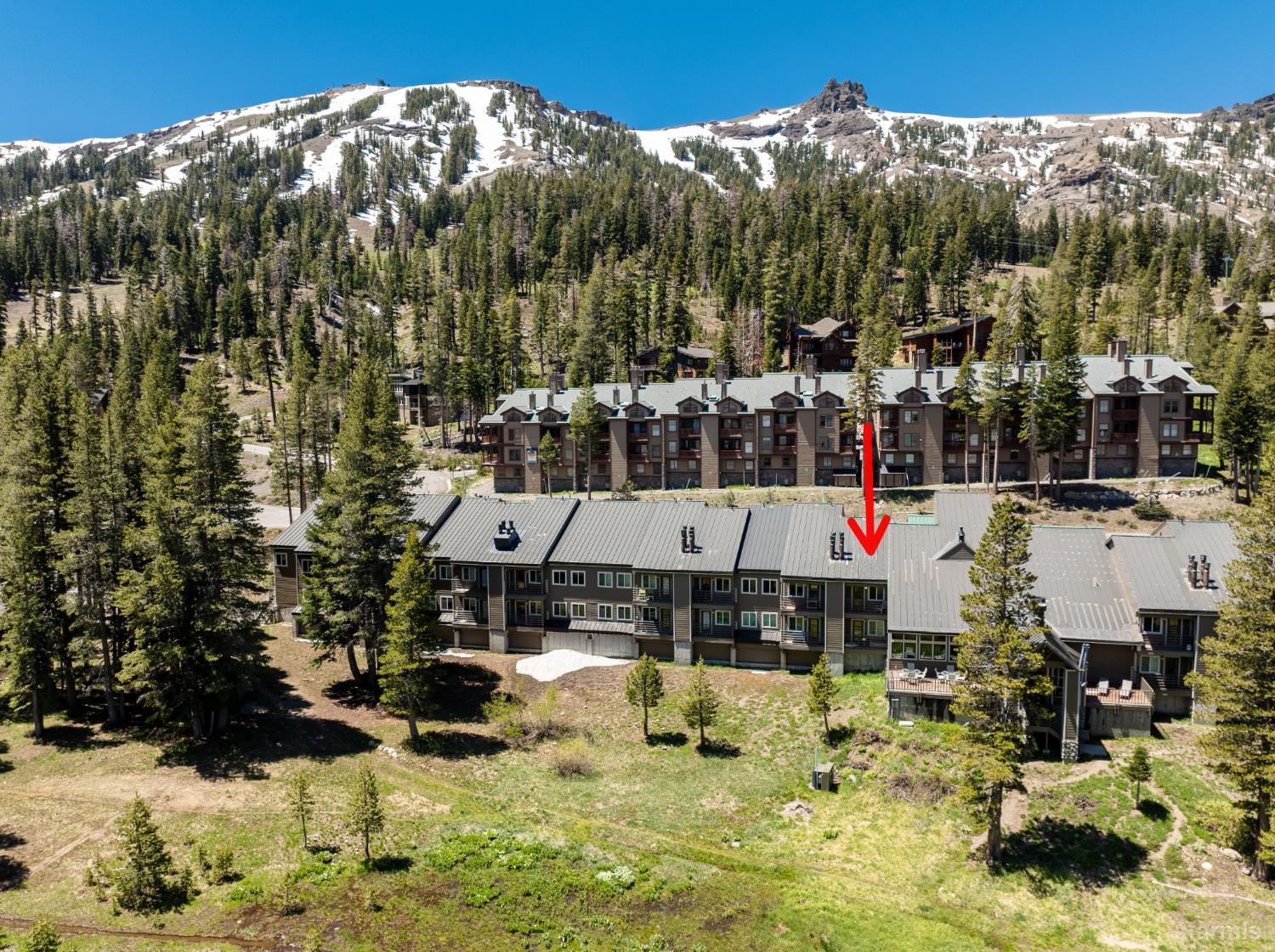 1120 Kirkwood Meadows Drive Unit: 217