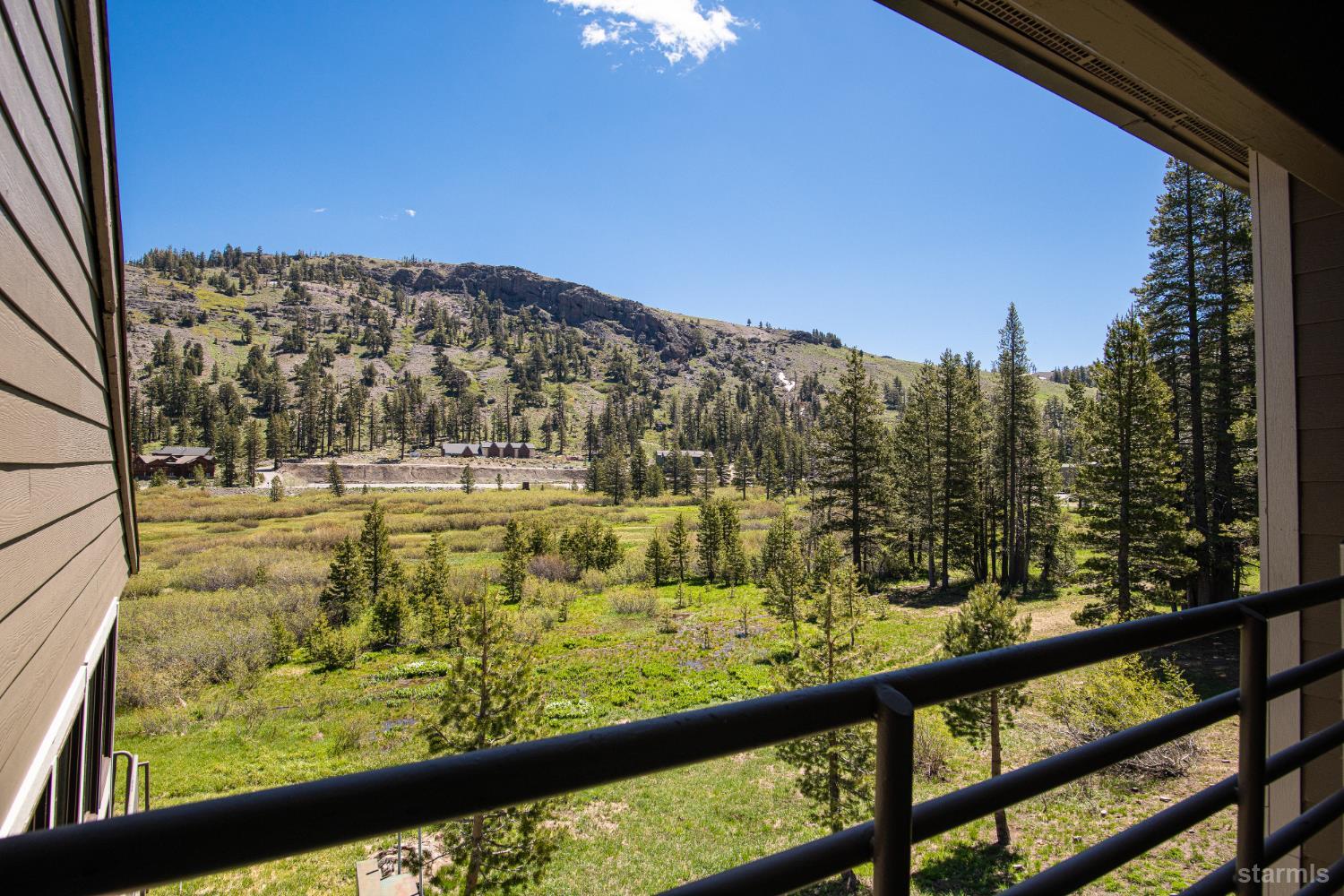 1120 Kirkwood Meadows Drive Unit: 217