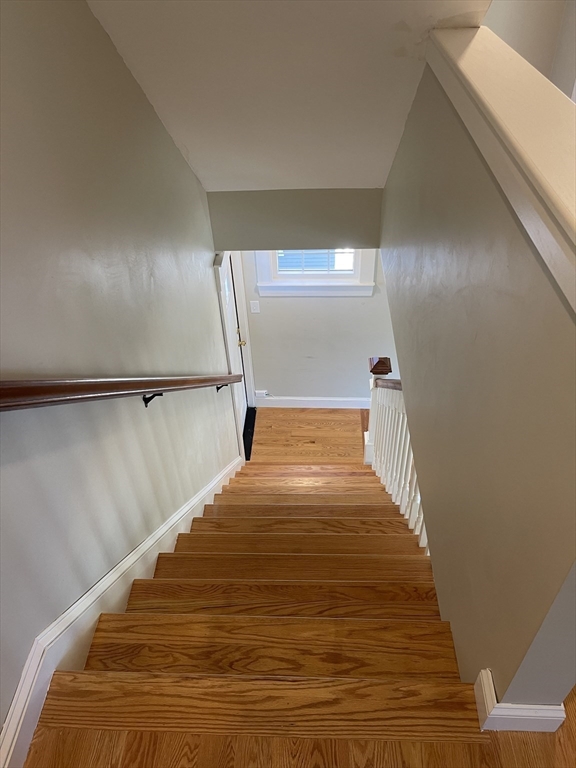 31 Woodbine # 2