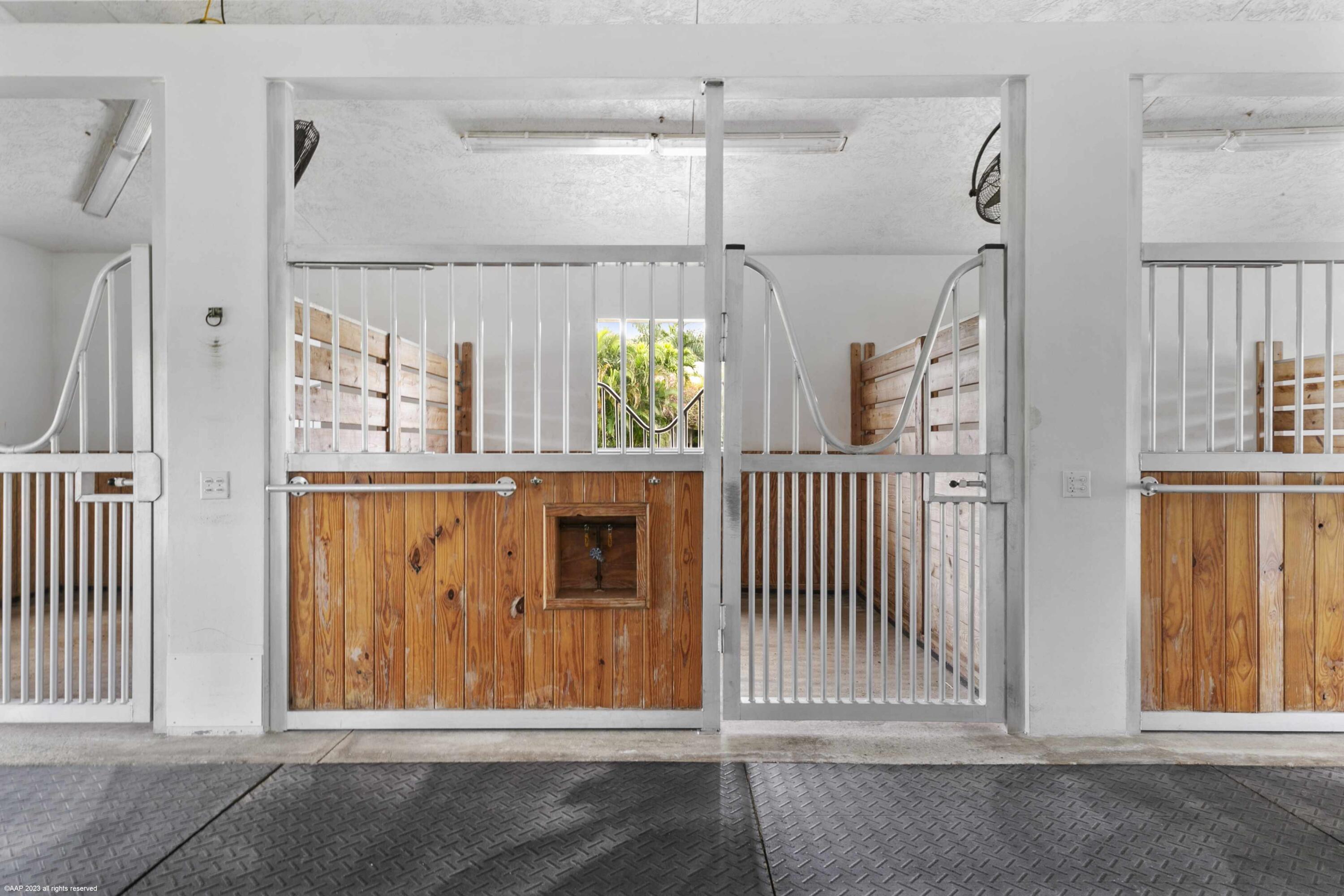 2025 Appaloosa Trail