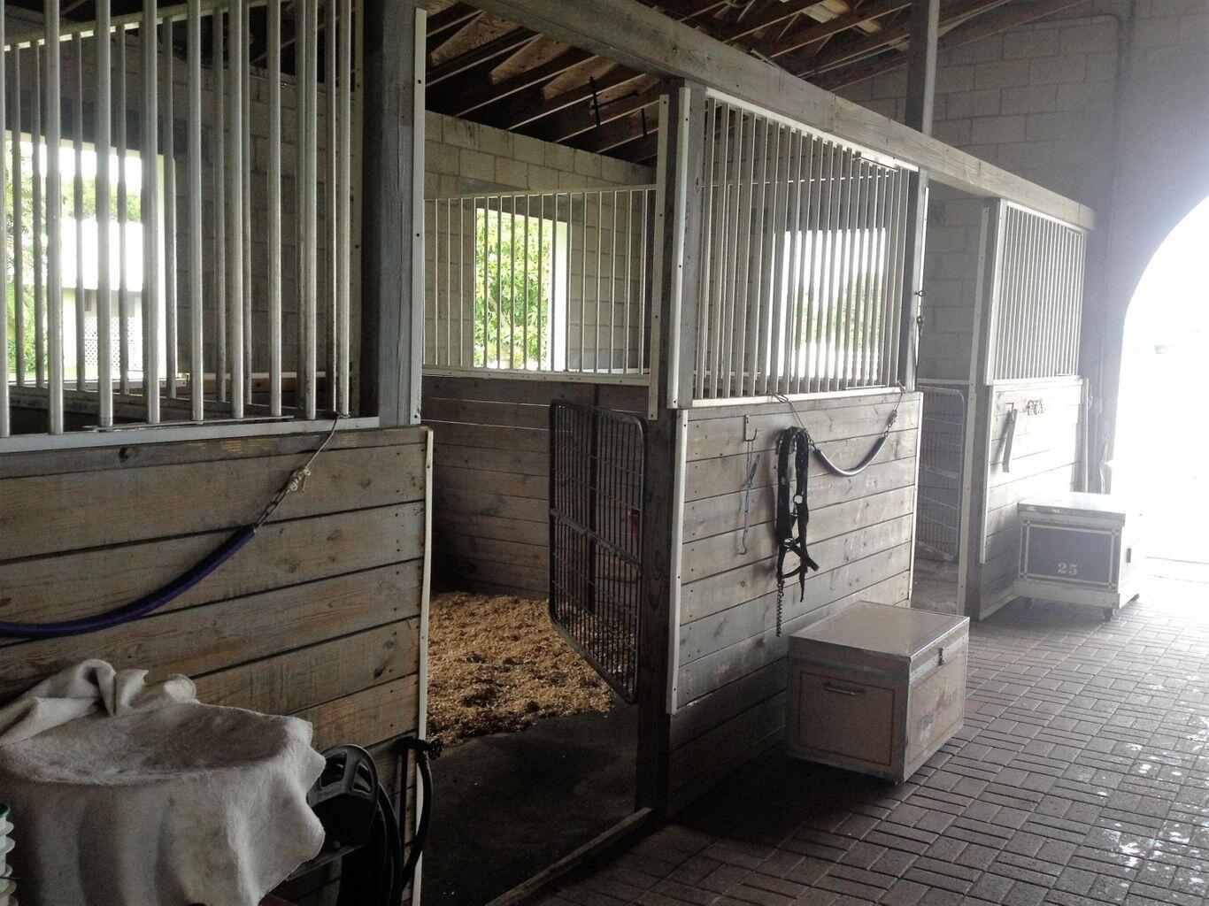 2792 Appaloosa Trail