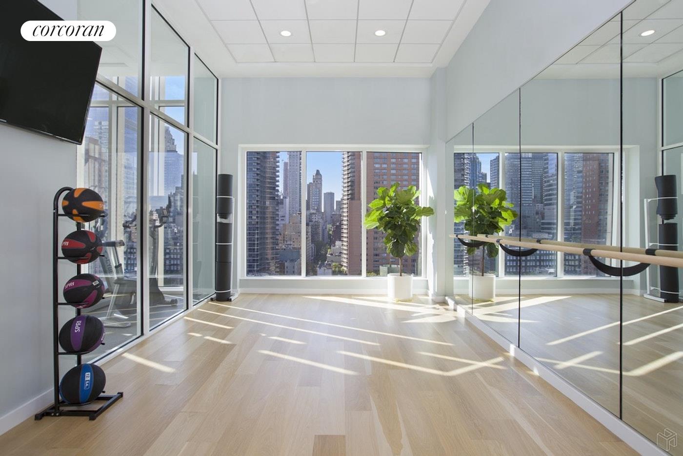 301 E 61ST Street PENTHOUSE