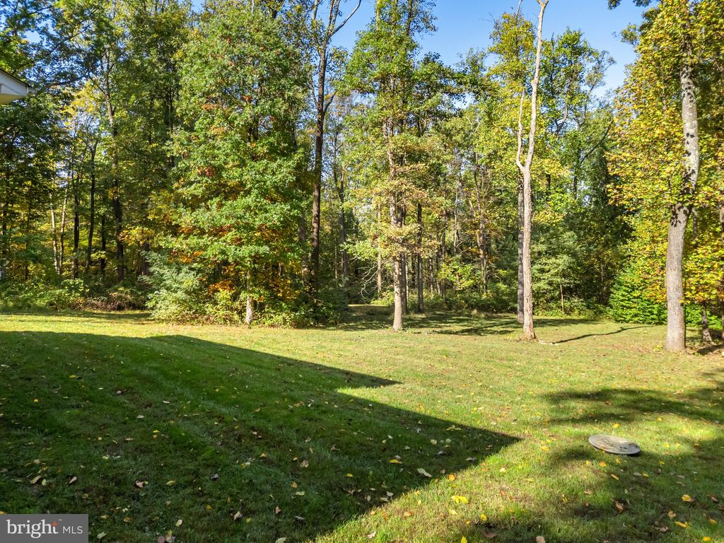 20615 BLUERIDGE MOUNTAIN ROAD