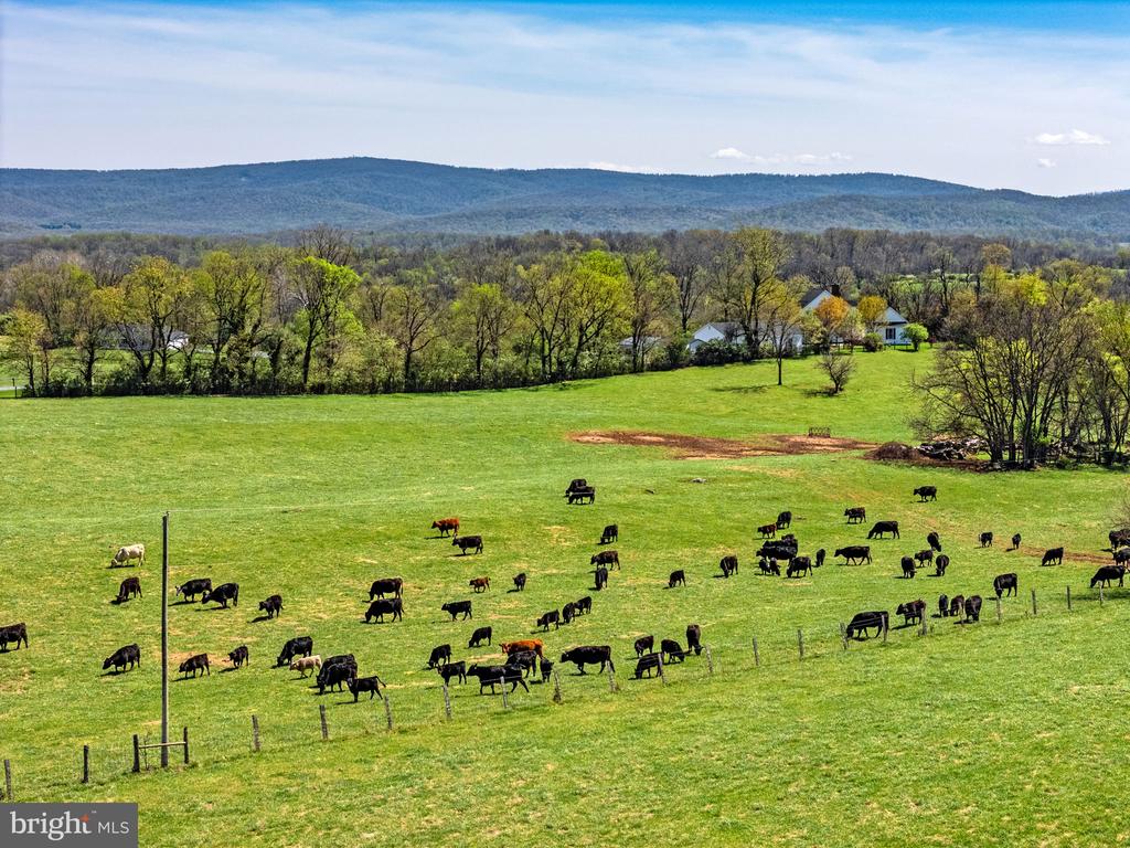 294 MILTON VALLEY LANE